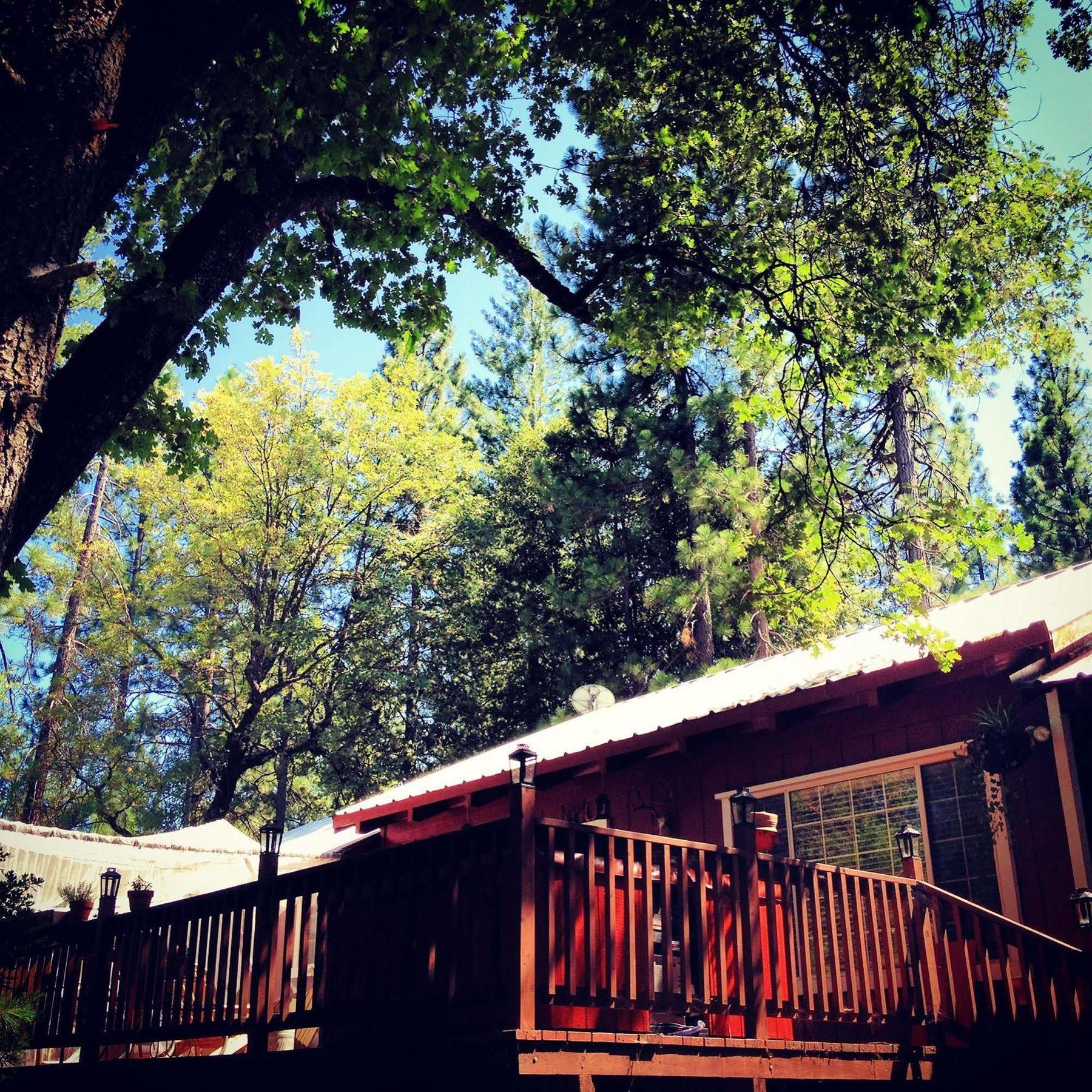 The Red Rooster Lodge Coulterville Luaran gambar